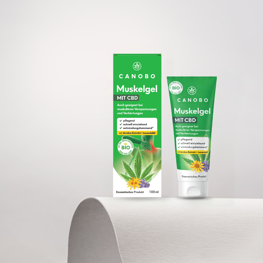 Muskelgel mit CBD &amp; Arnika | beruhigend &amp; entspannend