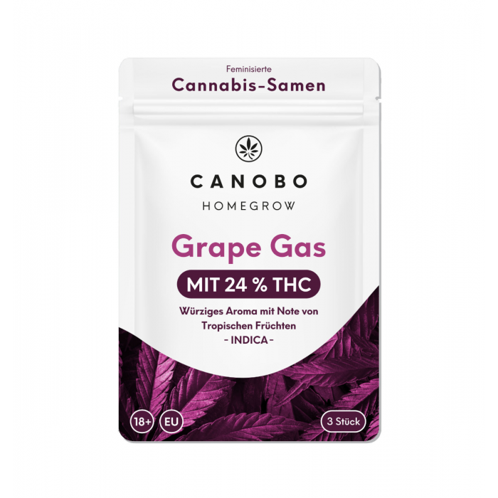Grape Gas | fruchtig-süßes Traubenaroma